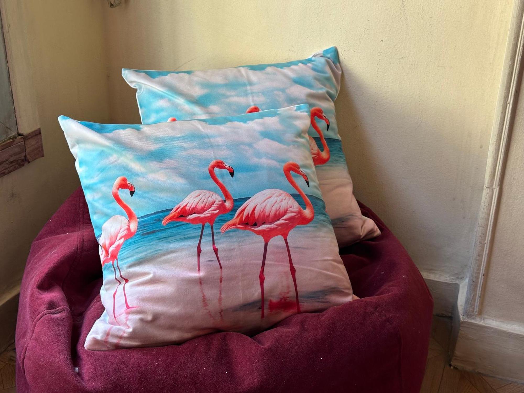 Flamingo 5 Stars Cozy Room - With Ac Caïro Buitenkant foto